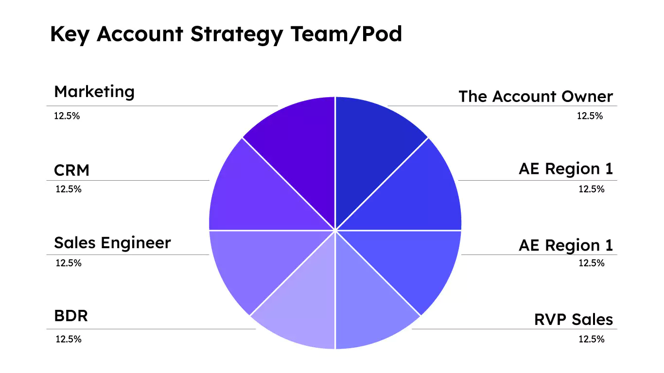 key-account-strategy-team-piechart
